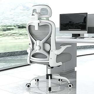 Ergonomic Office Chair for Back & Neck Pain Relief, Virgin Foam Seat, 2D Adjustable Lumbar & 3D Headrest, Tilt & Rock for Relaxation, Ideal for Long Sitting Comfort, Gray/Silver